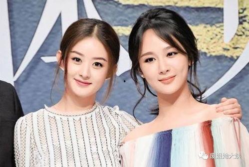 娱乐圈吃瓜大全pdf关于赵丽颖