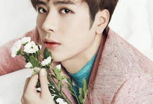 王嘉尔吃瓜爆料避雷,吃瓜爆料避雷指南