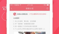 91四驱直播,带你领略极限越野的魅力