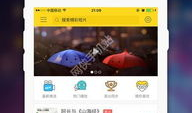 春雨直播看片APP,畅享影视盛宴，尽在指尖