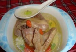 炖鸽子汤的做法视频