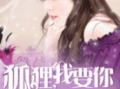 吃瓜娱乐圈狐狸是谁啊小说,揭秘狐狸真身之谜