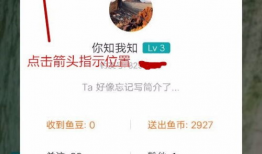 91捕鱼可以直播捕鱼吗,畅享捕鱼乐趣新体验
