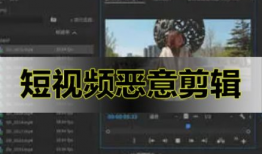 视频二,揭秘XX领域的创新突破与未来展望