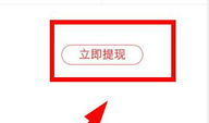 91直播友情手机站,畅享指尖直播新体验